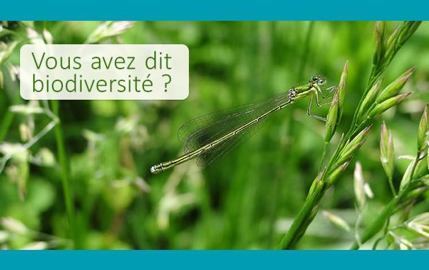 Université d'été : Vous avez dit biodiversité?