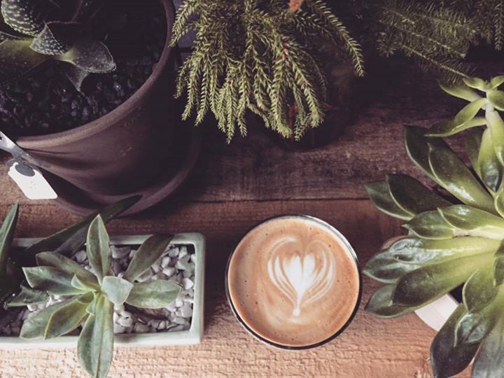 Vente Pop-Up Fleurs et Plantes