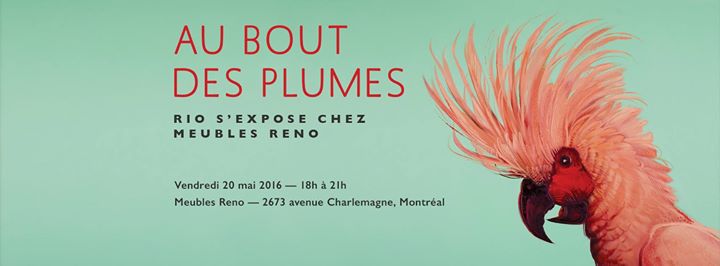 Vernissage Cacatoès