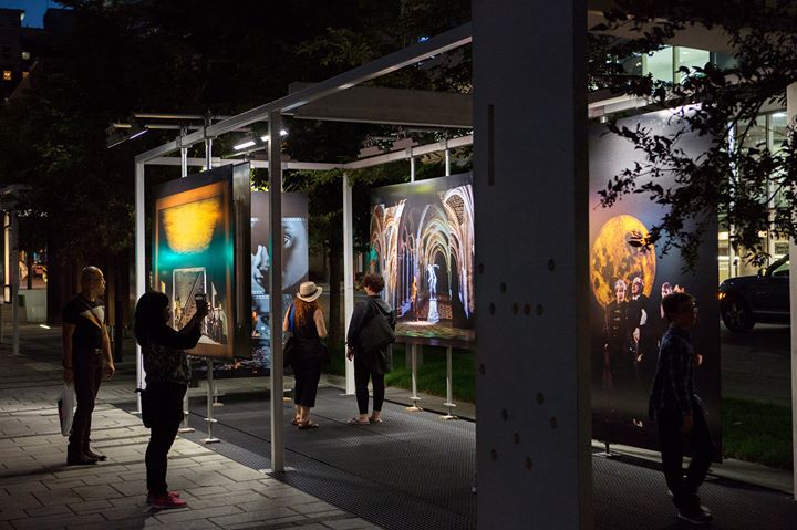 Visite guidée gratuite de l'expo Fixer l'instant - 20 octobre