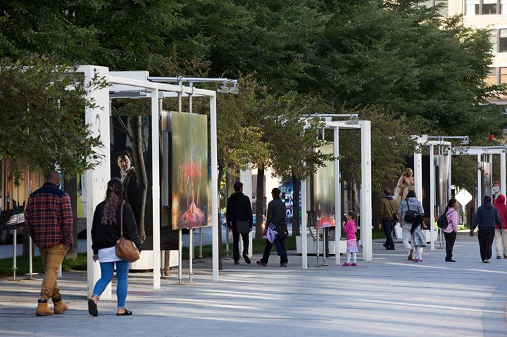 Visite guidée gratuite de l'expo Fixer l'instant - 3 novembre