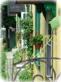 Visite guidée des ruelles vertes du Plateau