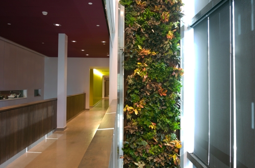 Visites guidées estivales de la Maison du développement durable