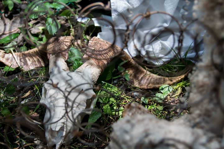 Welcome to Indian Country - Eclectik 2017 - 10e édition