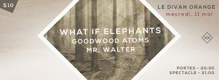 What if Elephants / / Goodwood Atoms / / Mr. Walter