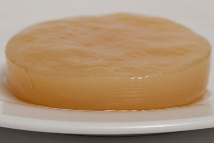 What to do with your Kombucha scoby