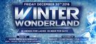 Winter Wonderland - Bar Hop - Club Crawl