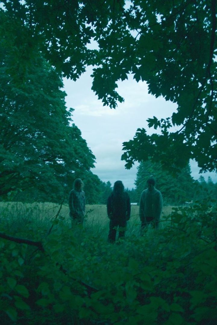 Wolves in the Throne Room