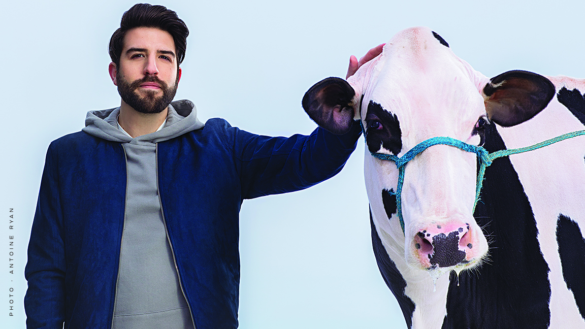 Yannick De Martino - Les dalmatiens sont énormes en campagne