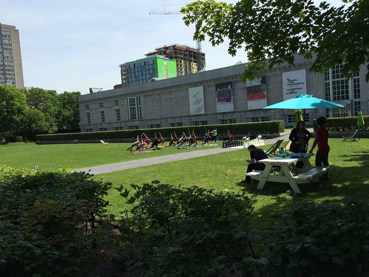 Yoga dans le parc / Yoga in the park