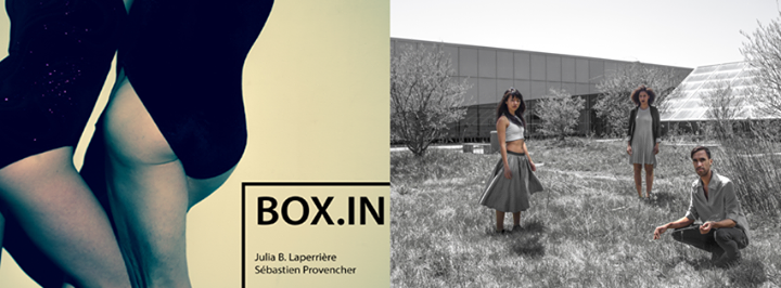 ZH - Box. in + Jaune/brun (pâle)