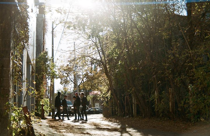 ZH - Felp + Chienvoler