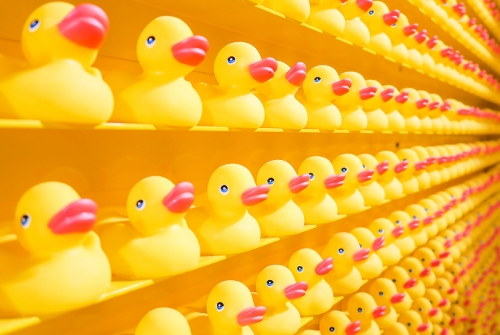 Cocktail-conférence Cataléthique | La consommation responsable dans un monde aux ressources finies