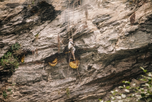 À la découverte des chasseurs de miel d'Adil Boukind