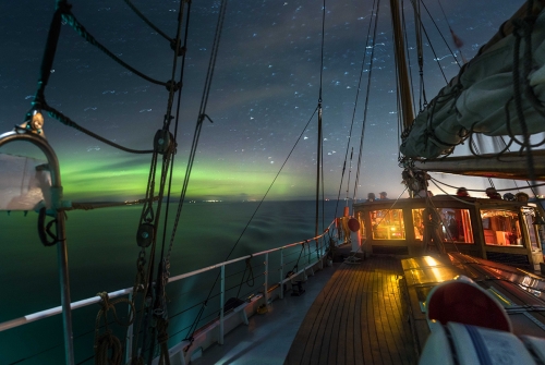 Nuit blanche 2019 : Du plancton dans les étoiles