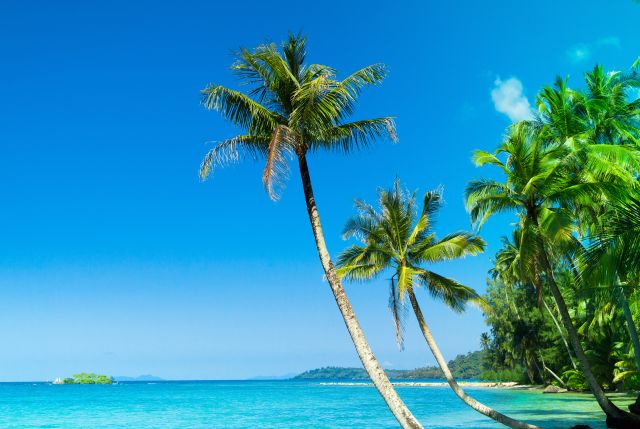 Échappez aux blues de l’hiver avec Sunwing