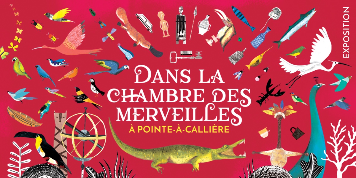 Dans la Chambre des merveilles