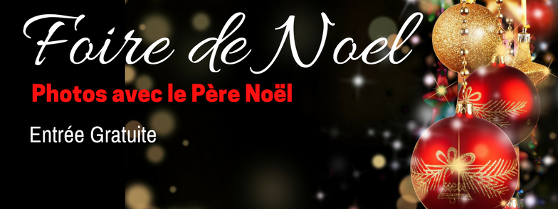 Foire de noël Création et Diversité
