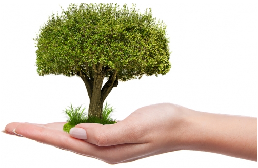 Cocktail-conférence Cataléthique | Relever le défi climatique : l’opportunité du marché volontaire du carbone