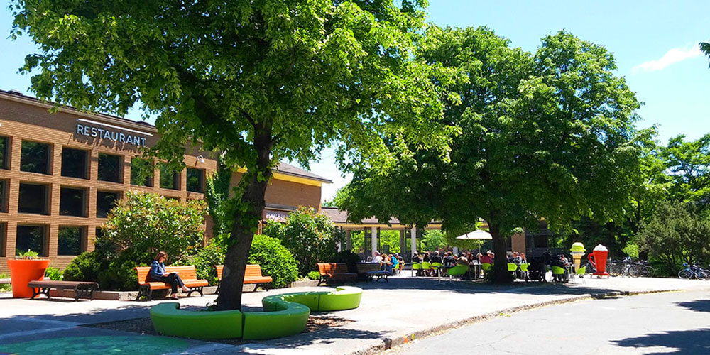 Les dimanches brunch en musique