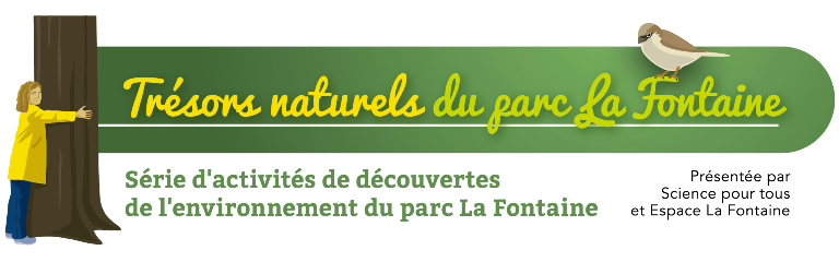 Les couleurs du printemps… vues avec des yeux différents!