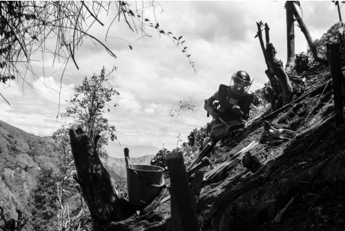 Exposition | Colombie : une terre mutilée d'Alexis Aubin