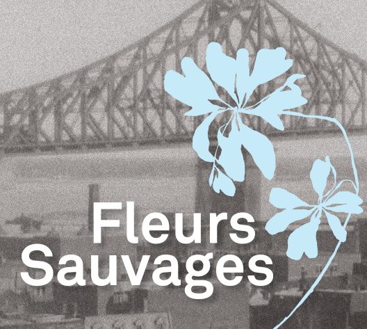 Fleurs Sauvages