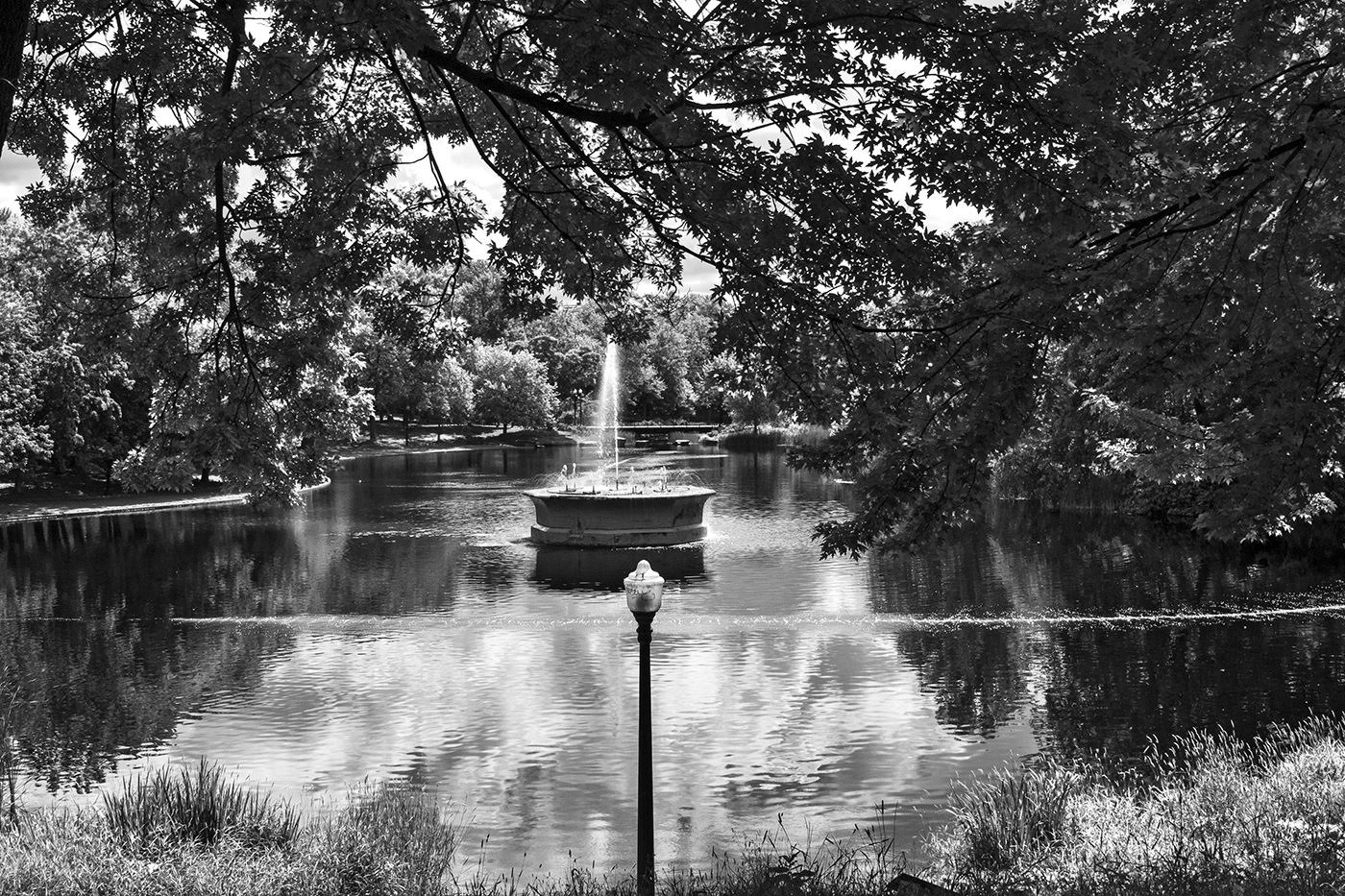 Exposition : Insterstices – Entre les branches du parc de Vero Allaire