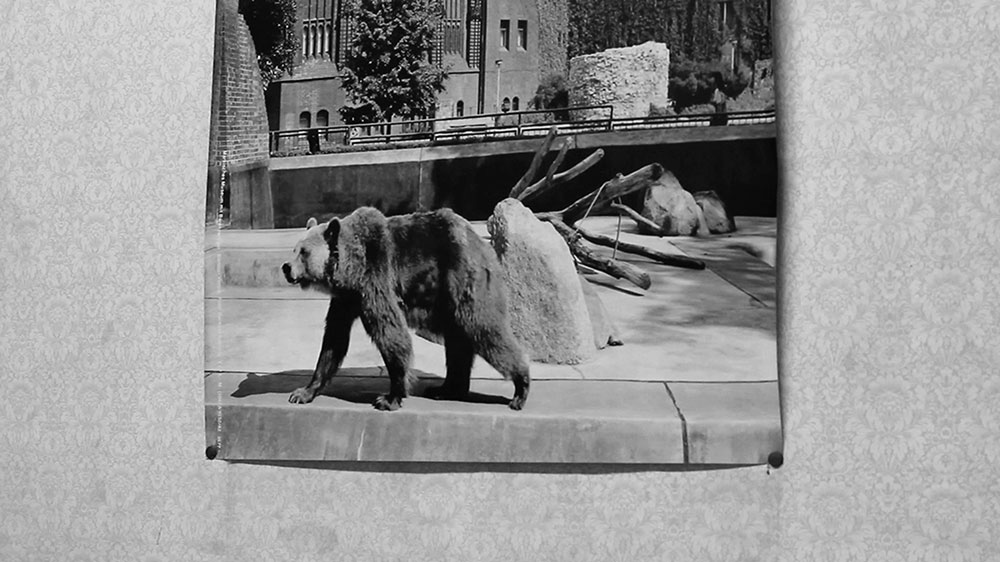 Lina Selander. « A Series of Images About You. »