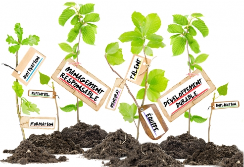 Management responsable et transition juste : attirer et retenir les talents dans un contexte de pénurie de main-d’œuvre