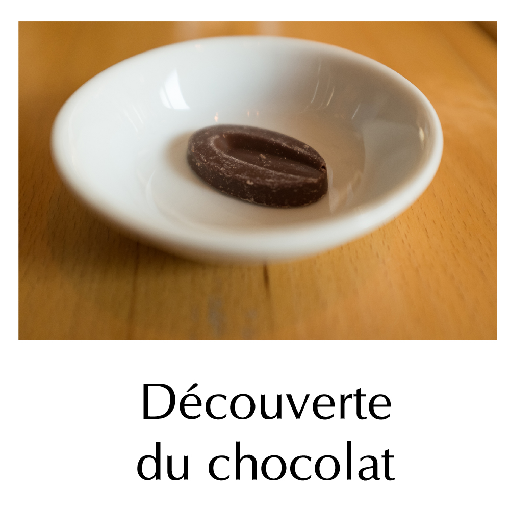 Atelier - Découverte du chocolat