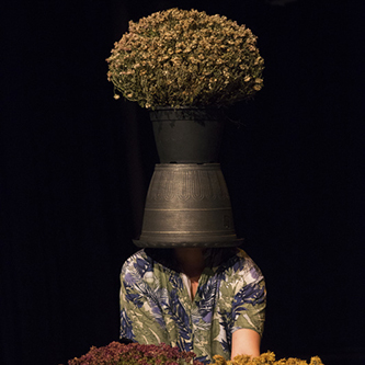 Danses Buissonnières 2017