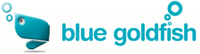 A great web designer: BlueGoldfish, Seattle, WA