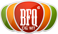 A great web designer: BFQ de Wit, Venlo, Netherlands