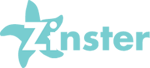 A great web designer: Zinster Webdesign, The Hague, Netherlands