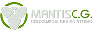 A great web designer: Mantis Creative Group, Orlando, FL