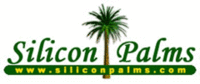 A great web designer: Silicon Palms, Sao Paulo, Brazil