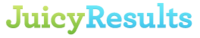 A great web designer: Juicy Results, Boca Raton, FL