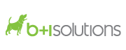 A great web designer: B+I Solutions, Minneapolis, MN