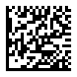 A great web designer: Dallas Web Design Firm, Dallas, TX