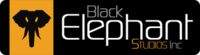 A great web designer: Black Elephant Studios, Inc., Minneapolis, MN