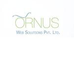 A great web designer: Ornus Web Solutions Pvt. Ltd, Washington DC, DC