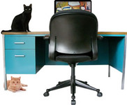 A great web designer: Alpers Design, Kansas City, KS