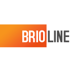 A great web designer: Brioline Studio Ltd, Atlanta, GA