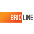 A great web designer: Brioline Studio Ltd, Boston, MA