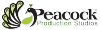 A great web designer: Peacock Production Studios, Tampa, FL