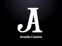 A great web designer: Amedia Creative, Inc, Las Vegas, NV