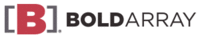 A great web designer: Bold Array LLC, Los Angeles, CA
