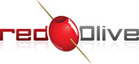 A great web designer: Red Olive Design, Salt Lake City, UT