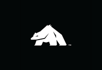 A great web designer: Angry Bear LLC, Asheville, NC